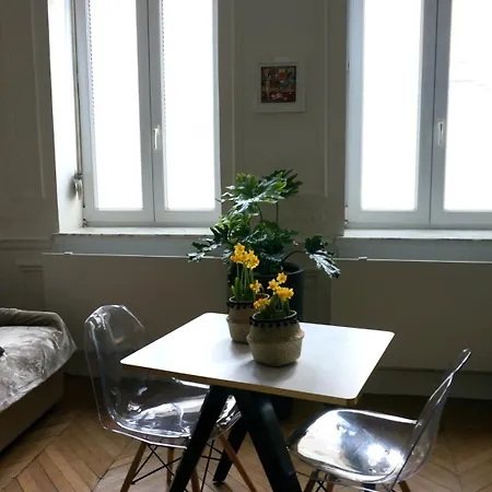 Superbe Refait A Neuf, Plein Centre De Lille